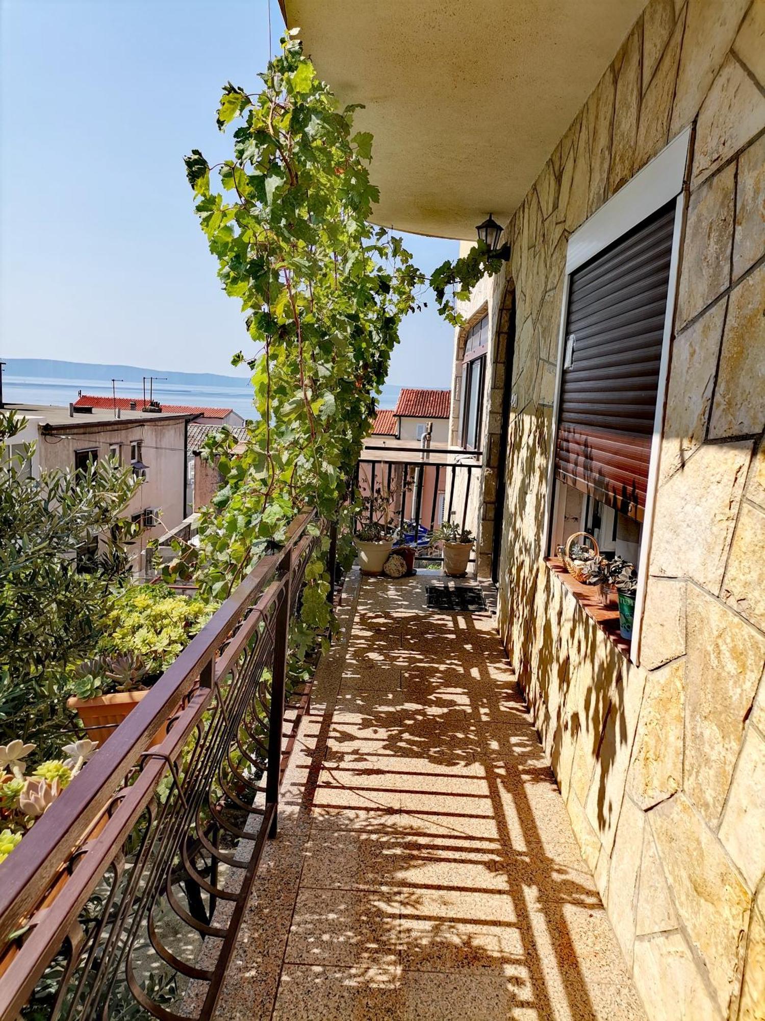 Villa Mia Μακάρσκα Εξωτερικό φωτογραφία
